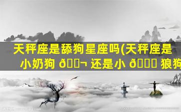天秤座是舔狗星座吗(天秤座是小奶狗 🐬 还是小 🕊 狼狗)